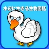 ���ӂɐ����鐶���}��
