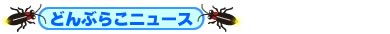 �ǂ�Ԃ炱�j���[�X