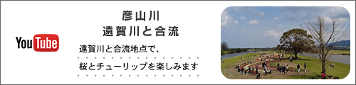 彦山川-遠賀川と合流